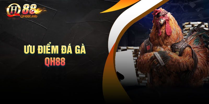 Ưu điểm khi chơi đá gà tại Qh88